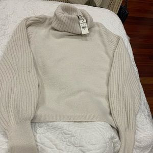 Express turtleneck
